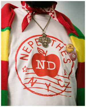 NICHOLAS DALEY X NEPENTHES NEW YORK PIN SET